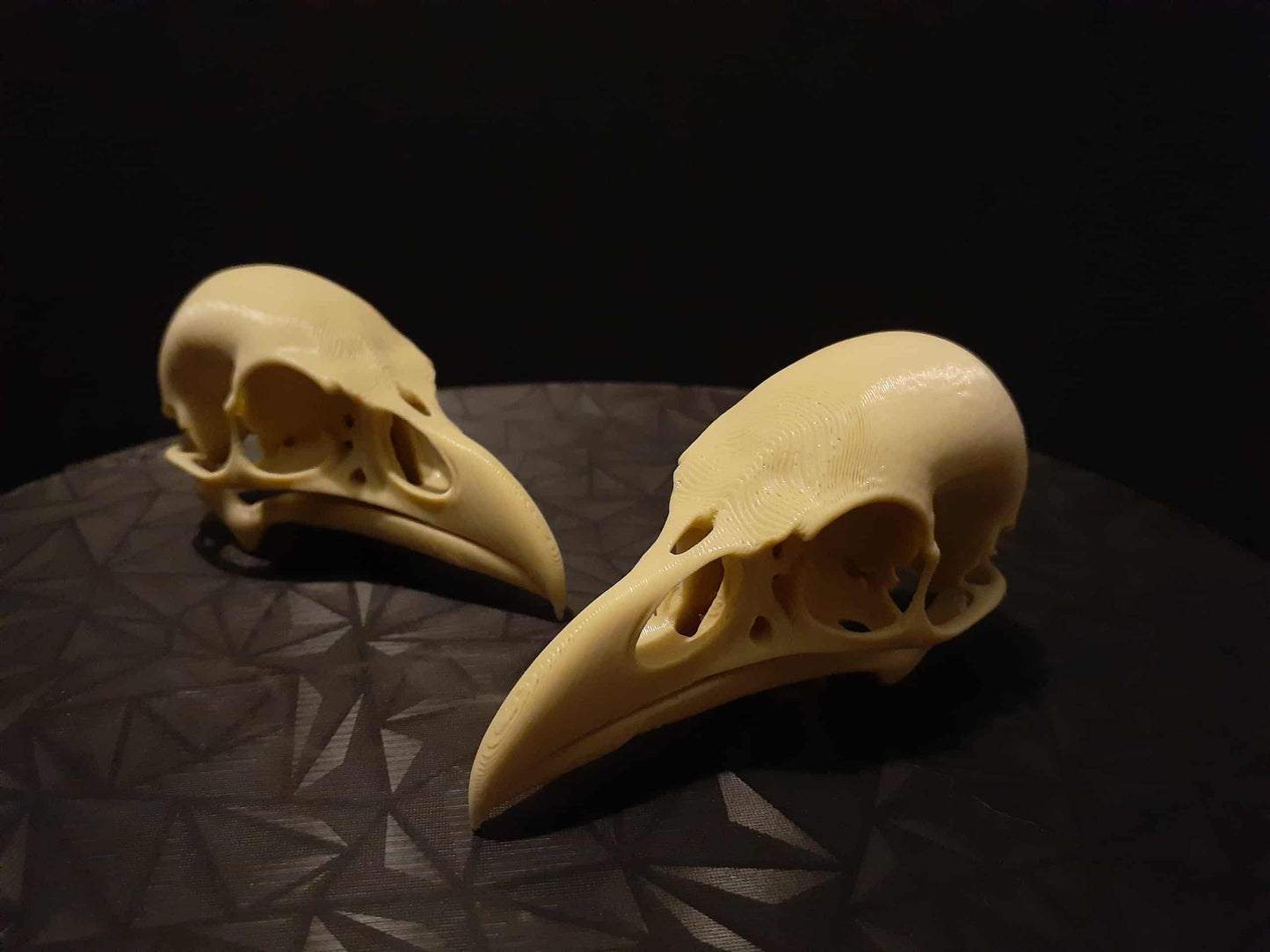 Raven Skull Decor – Because Your Vibe Says “Mystical but Don’t Test Me”